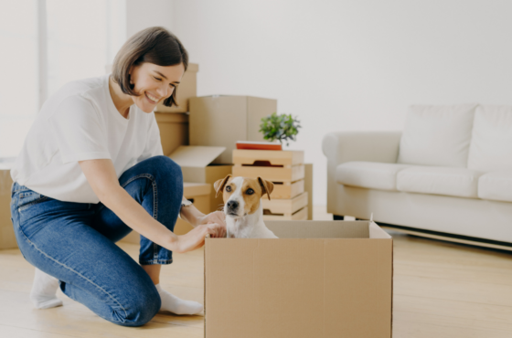 Pet-Friendly Rentals: What To Look For